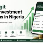 Best Legit Online Investment Platforms in Nigeria for Beginners in 2026